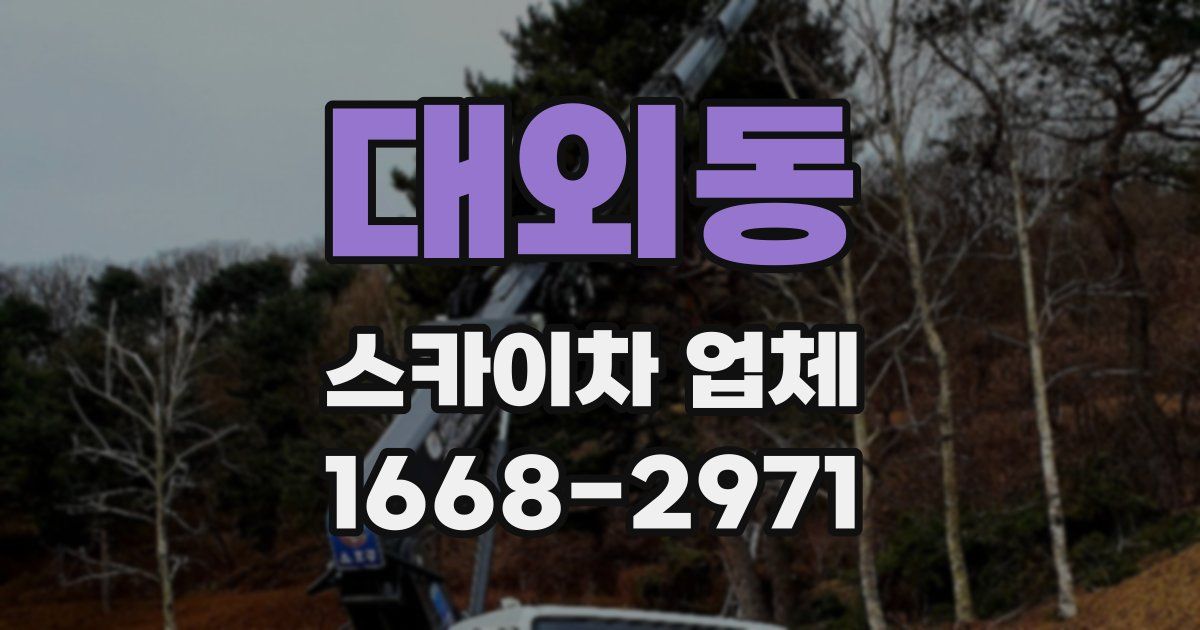 대외동 스카이차 업체