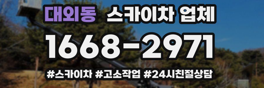 대외동 스카이차 업체