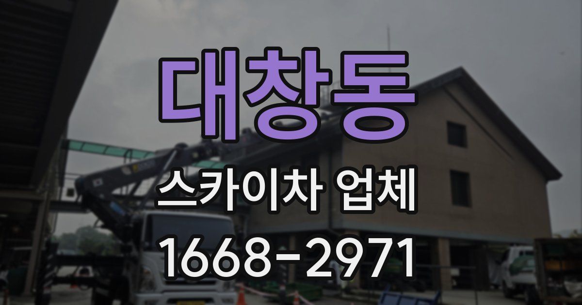 대창동 스카이차 업체