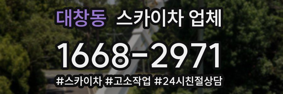 대창동 스카이차 업체