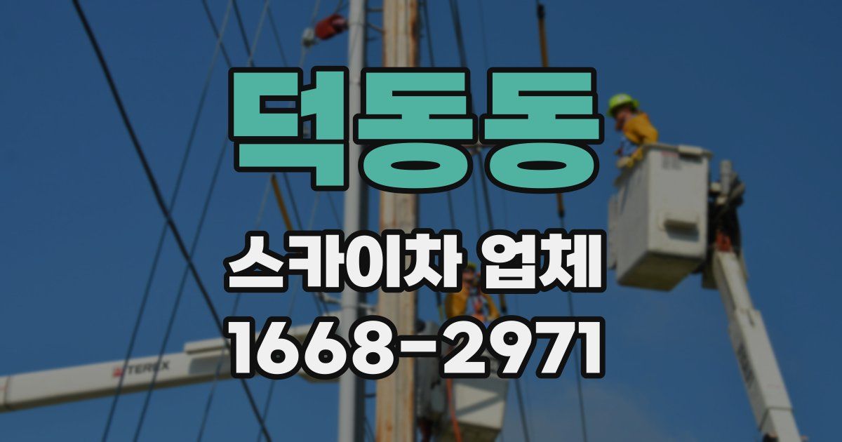 덕동동 스카이차 업체