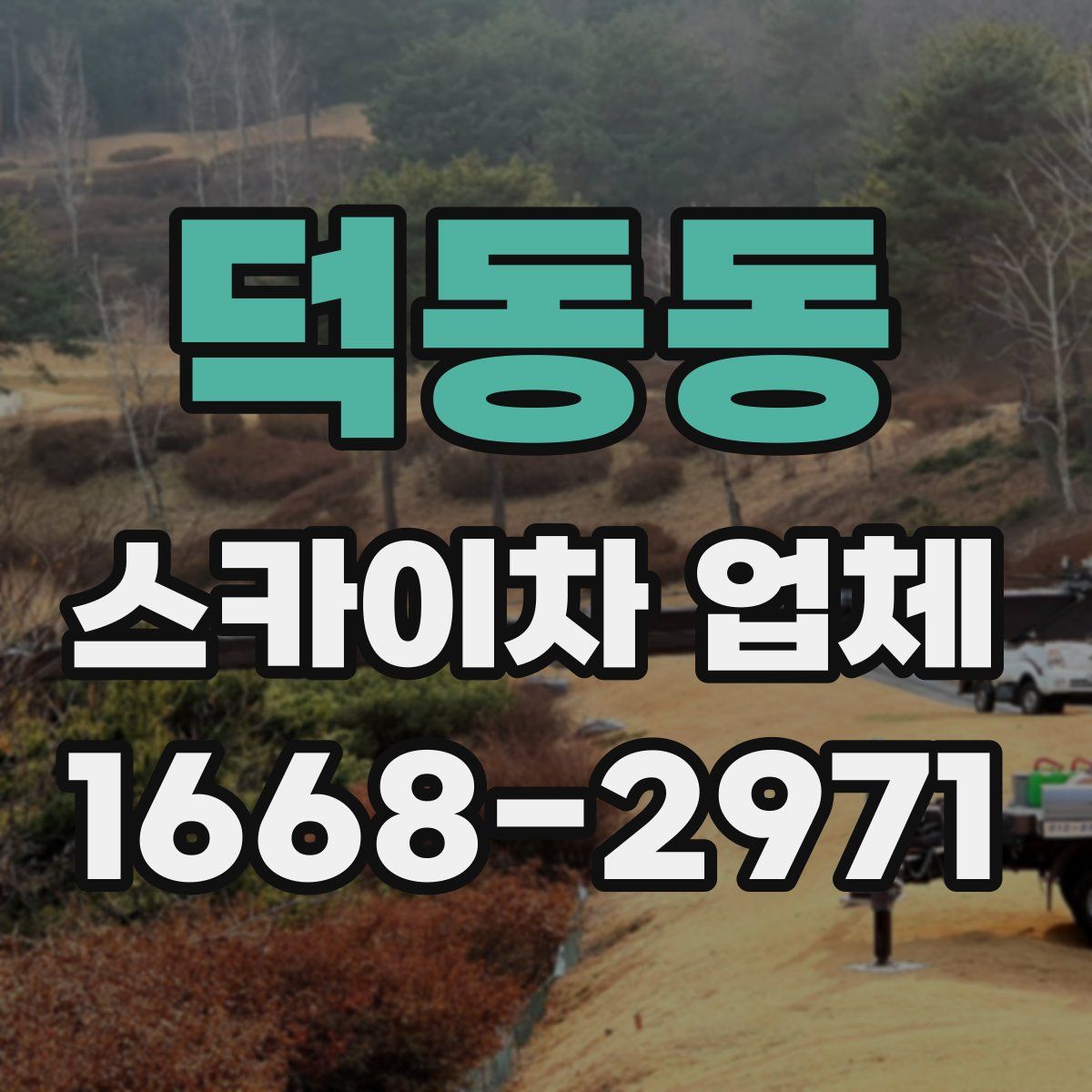덕동동 스카이차 업체
