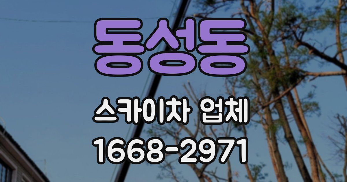 동성동 스카이차 업체