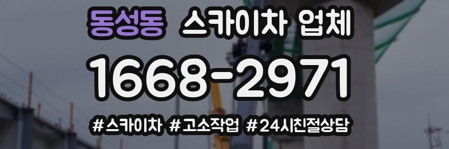 동성동 스카이차 업체