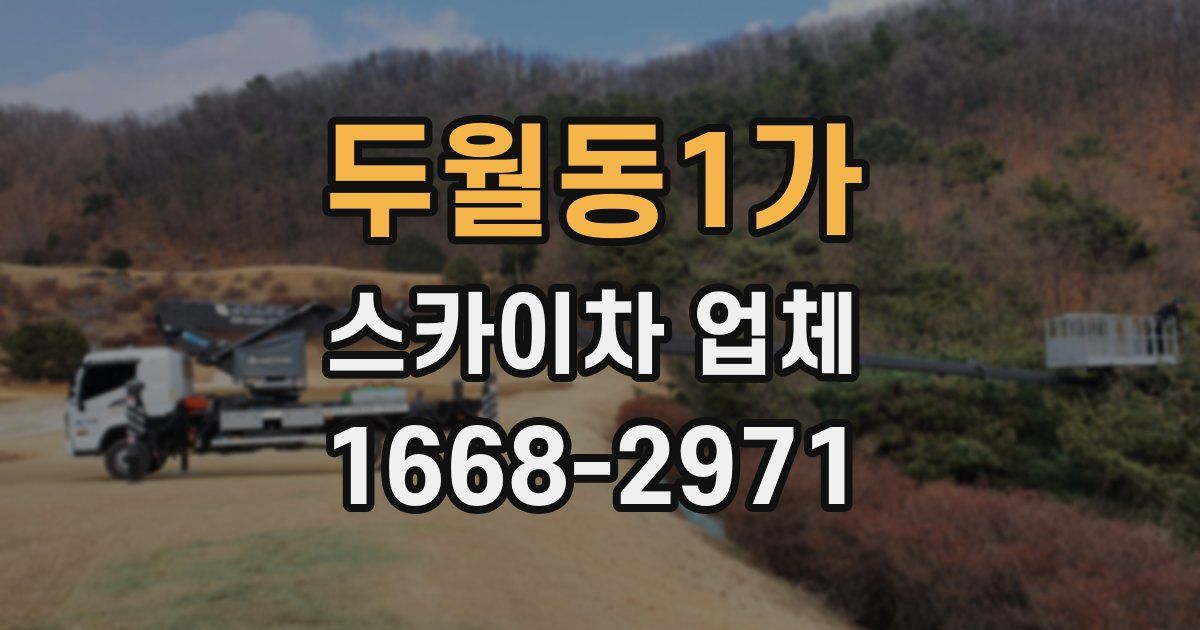 두월동1가 스카이차 업체
