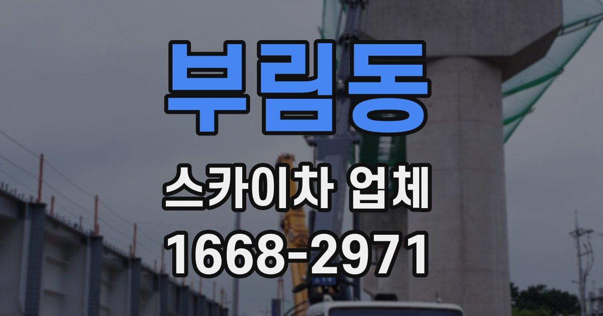 부림동 스카이차 업체