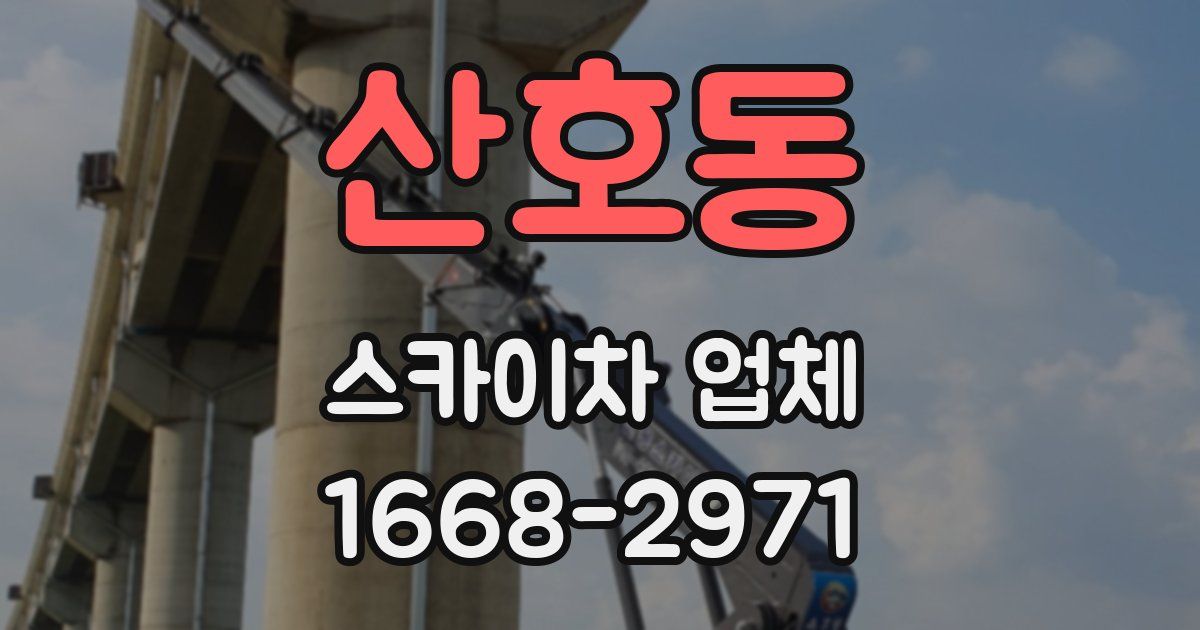산호동 스카이차 업체