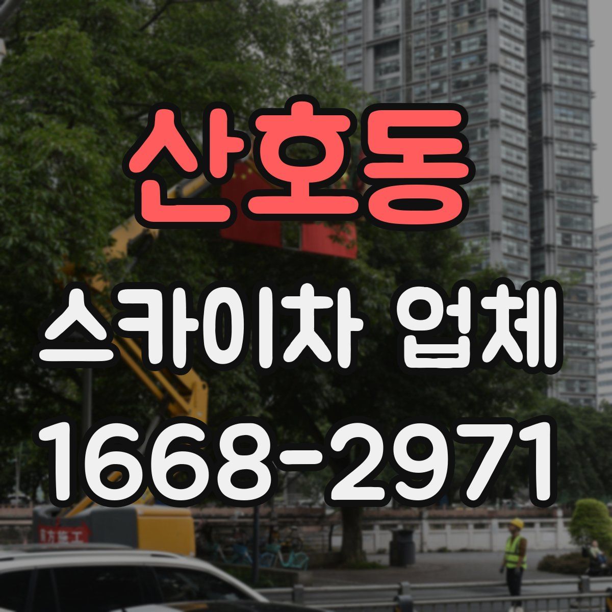 산호동 스카이차 업체
