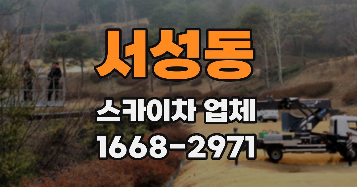 서성동 스카이차 업체