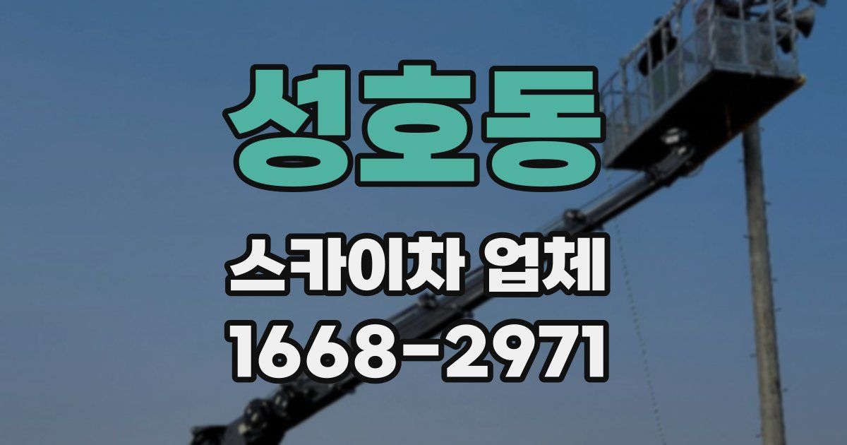 성호동 스카이차 업체