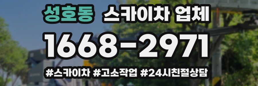 성호동 스카이차 업체