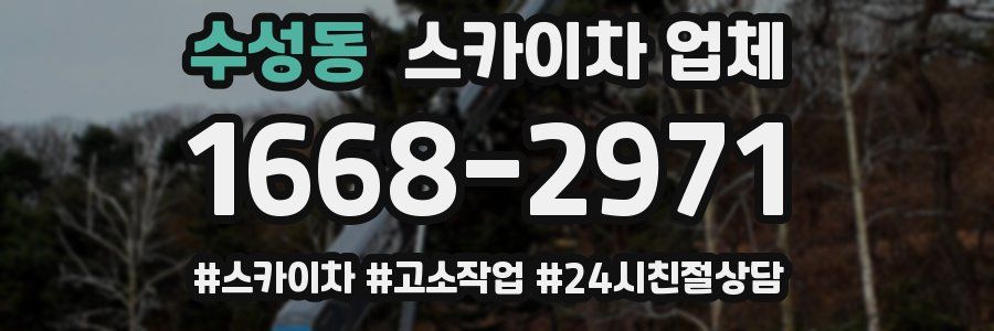 수성동 스카이차 업체