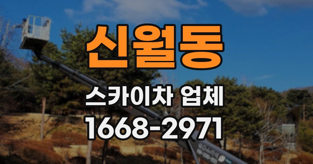 신월동 스카이차 업체