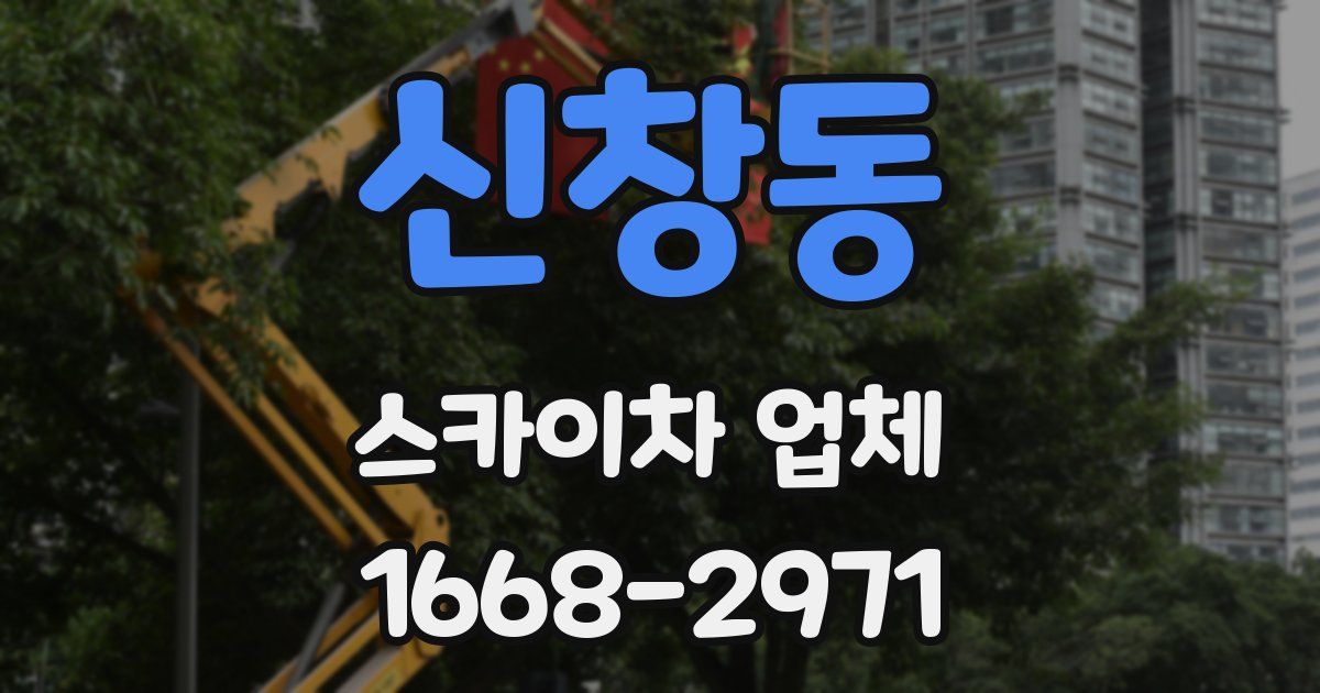 신창동 스카이차 업체