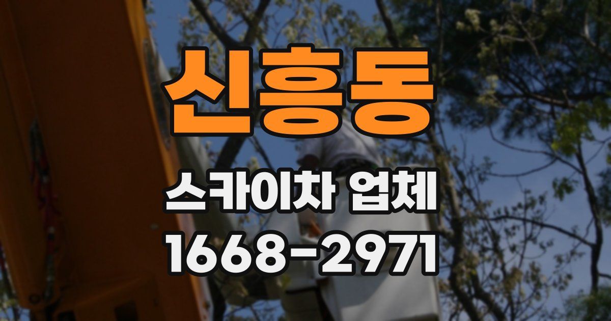 신흥동 스카이차 업체