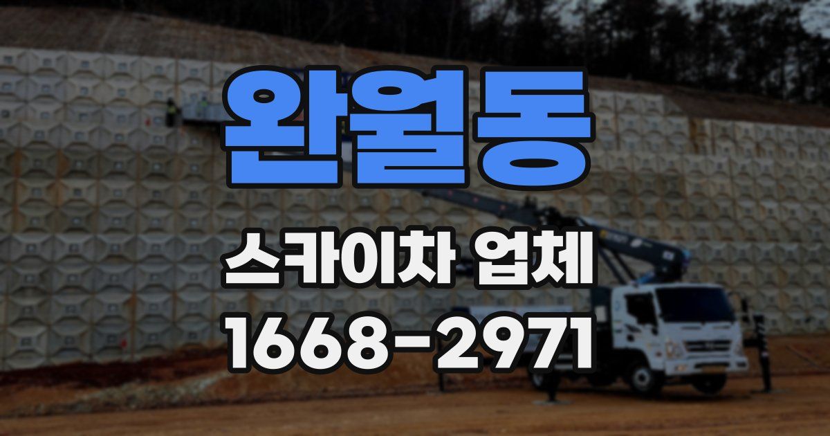 완월동 스카이차 업체