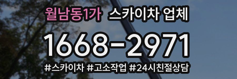 월남동1가 스카이차 업체