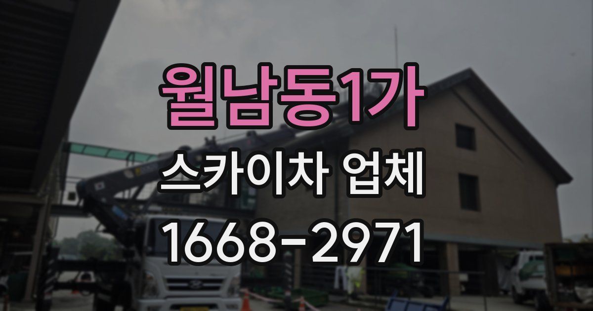 월남동1가 스카이차 업체