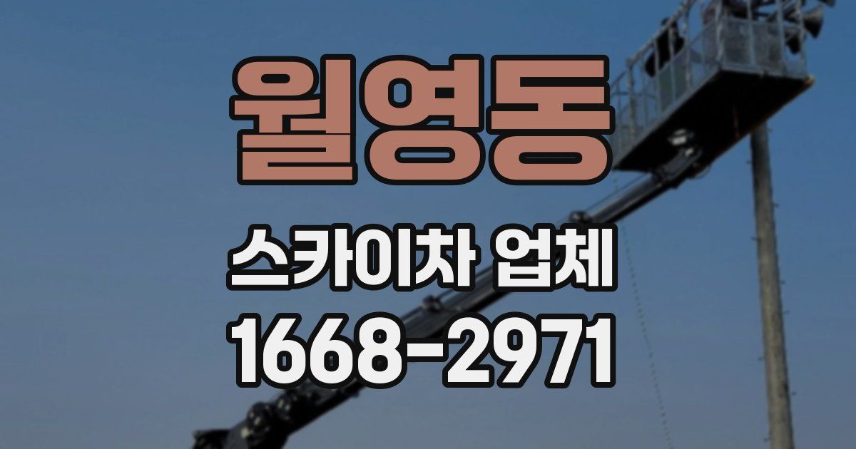 월영동 스카이차 업체