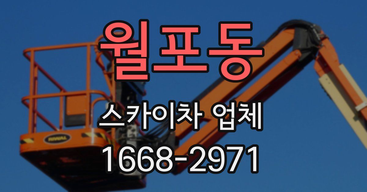 월포동 스카이차 업체
