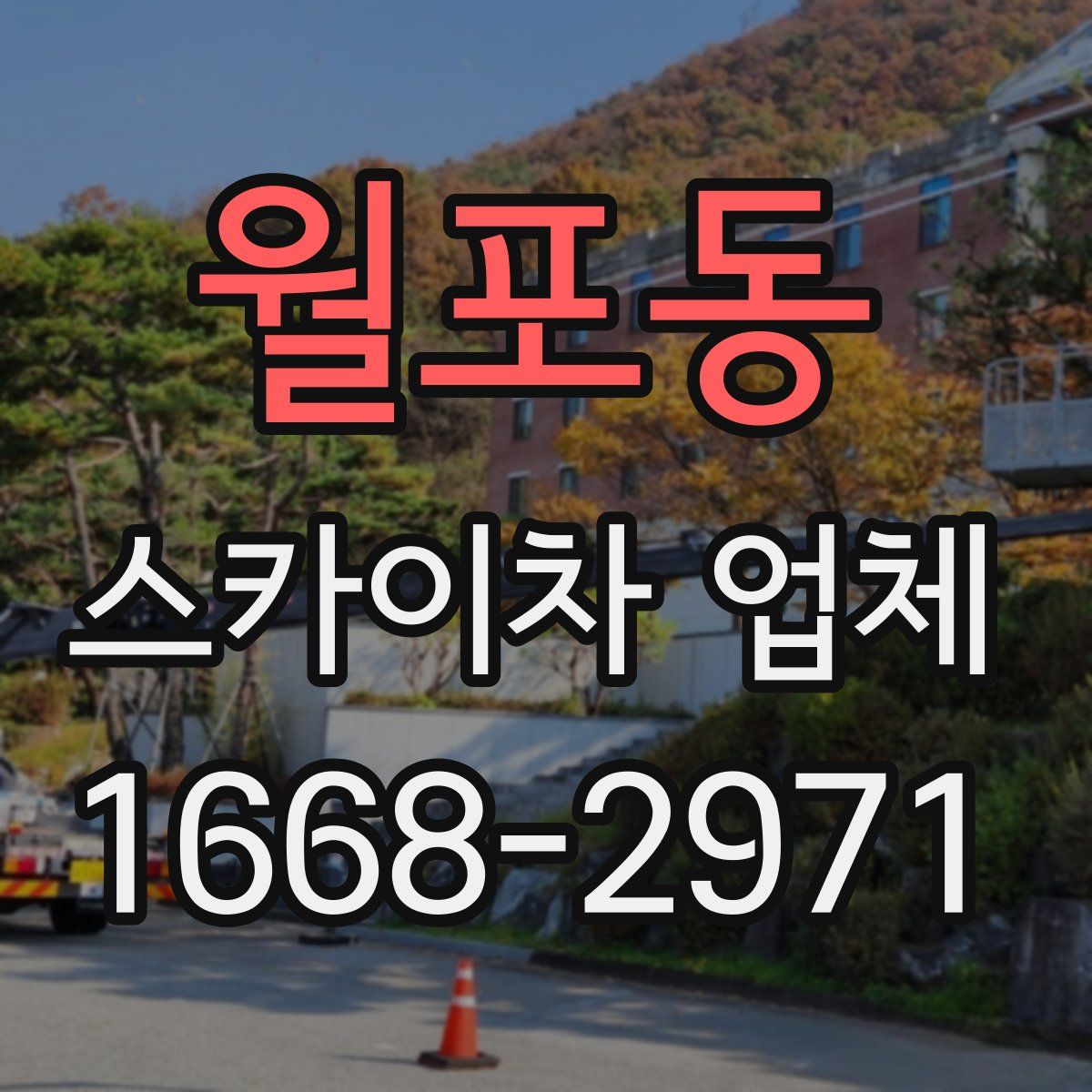 월포동 스카이차 업체