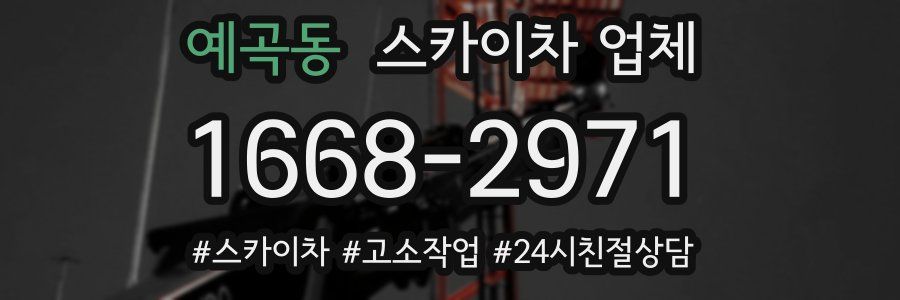 예곡동 스카이차 업체
