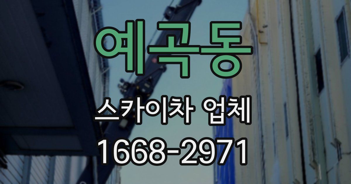 예곡동 스카이차 업체