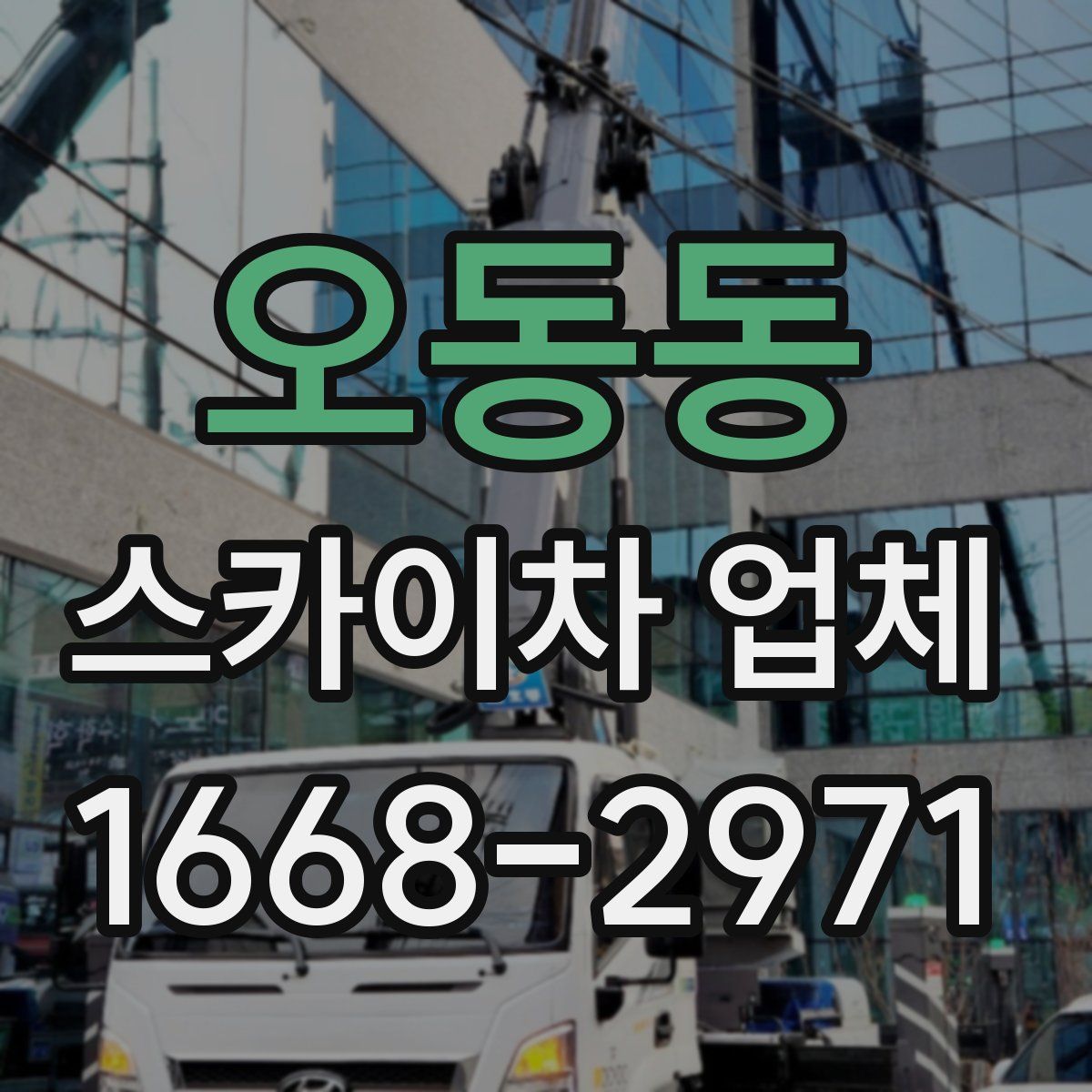 오동동 스카이차 업체