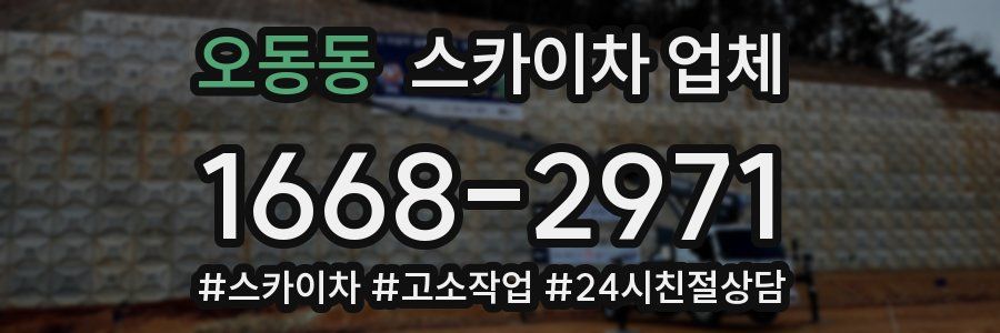 오동동 스카이차 업체