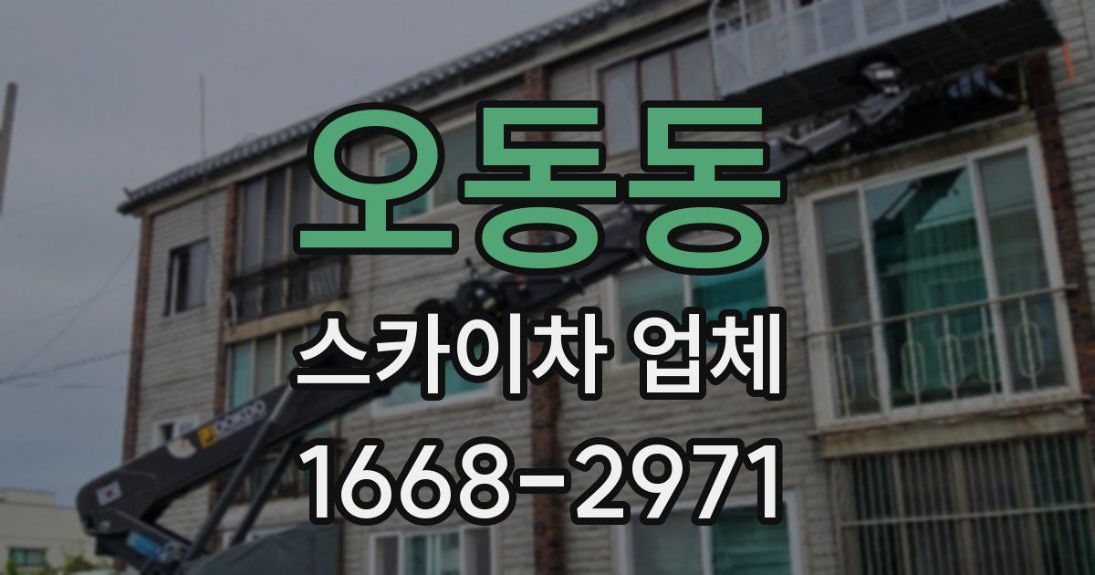 오동동 스카이차 업체