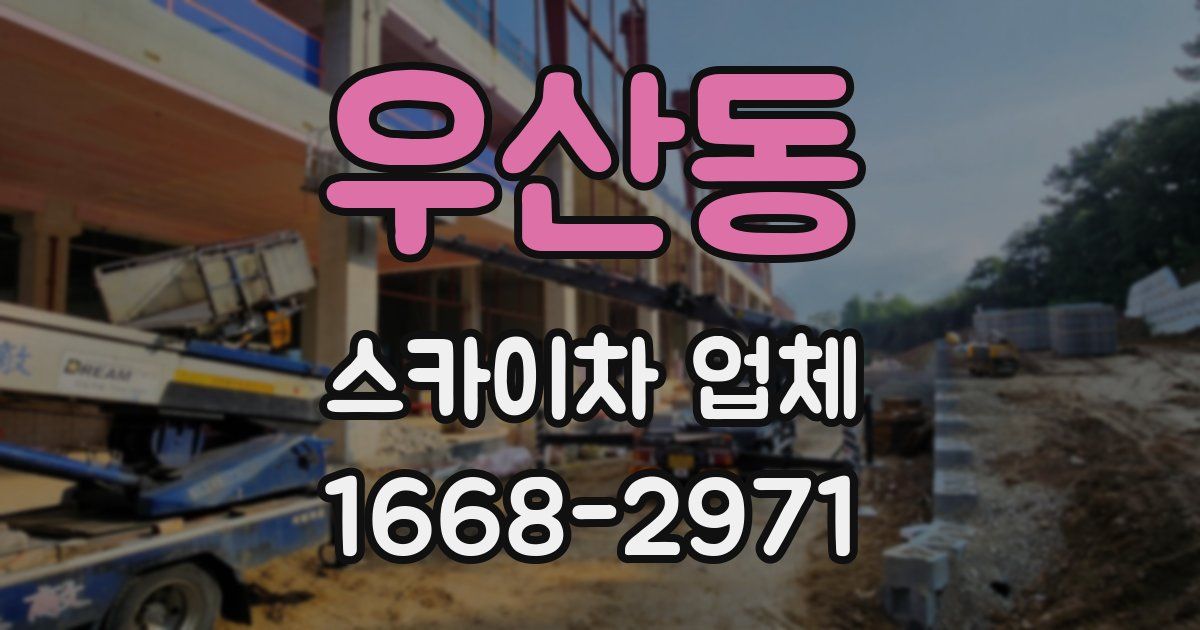 우산동 스카이차 업체