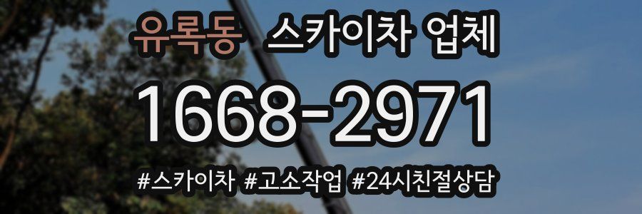 유록동 스카이차 업체