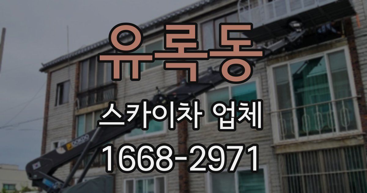 유록동 스카이차 업체