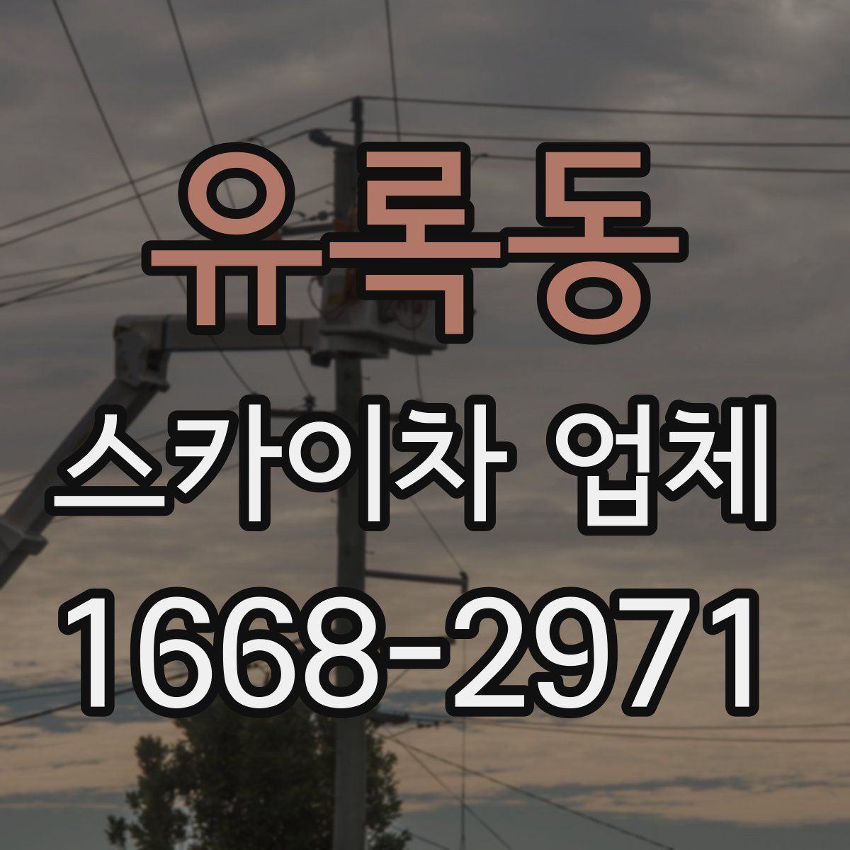 유록동 스카이차 업체
