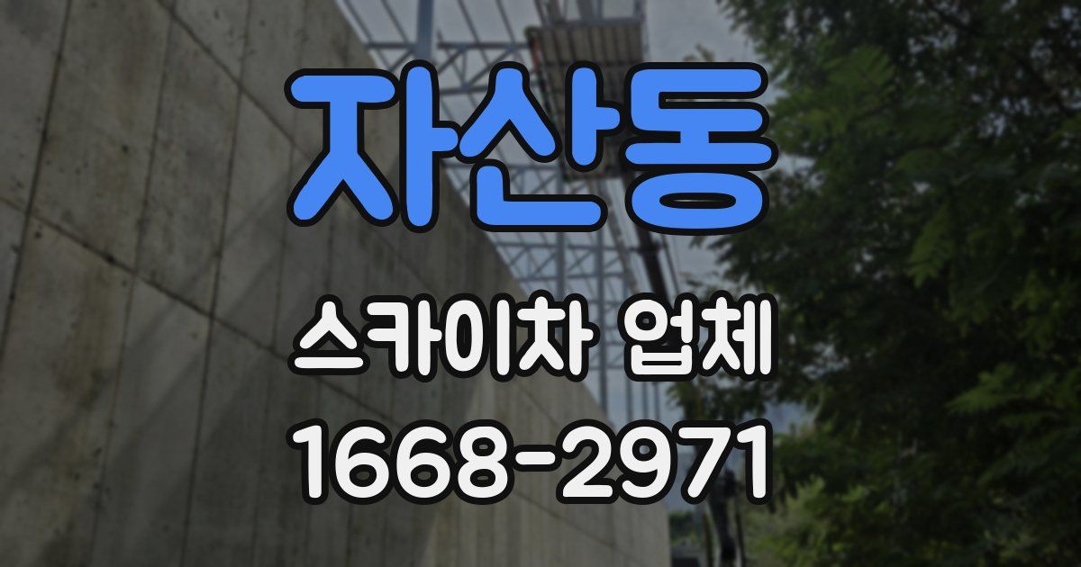 자산동 스카이차 업체