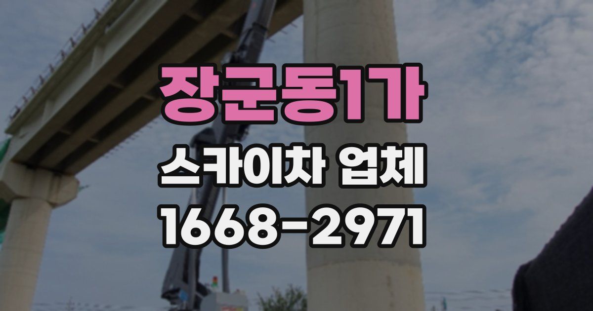 장군동1가 스카이차 업체