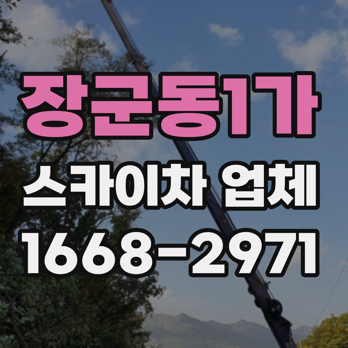 장군동1가 스카이차 업체