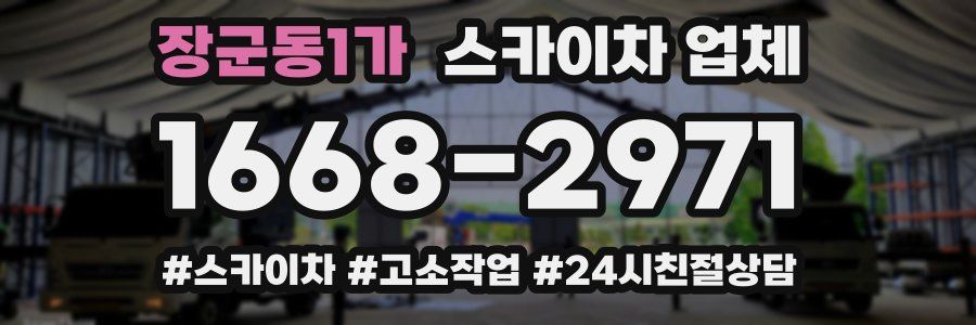 장군동1가 스카이차 업체