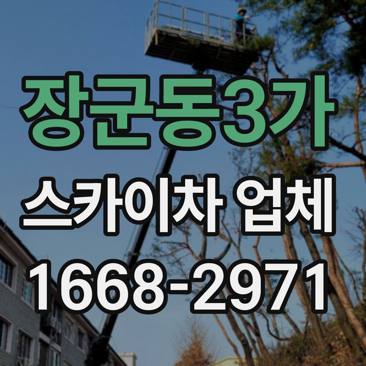 장군동3가 스카이차 업체
