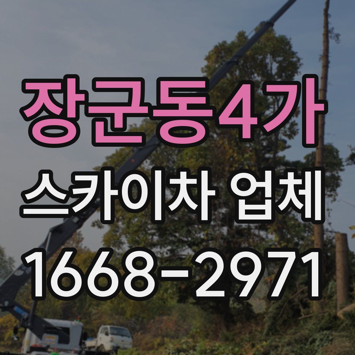 장군동4가 스카이차 업체