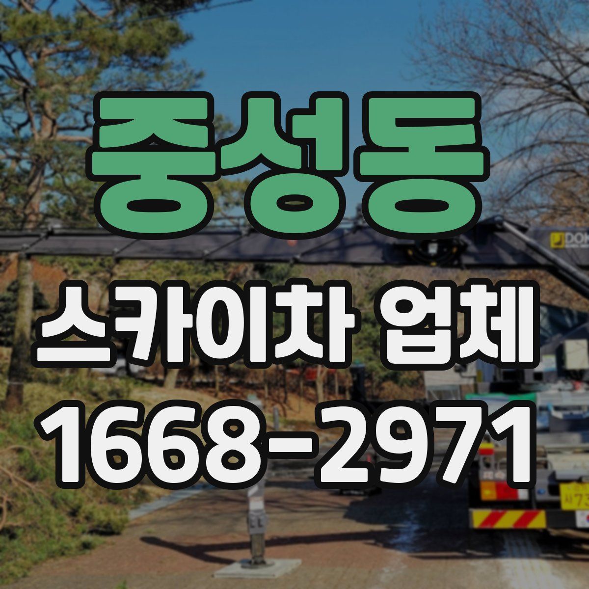 중성동 스카이차 업체