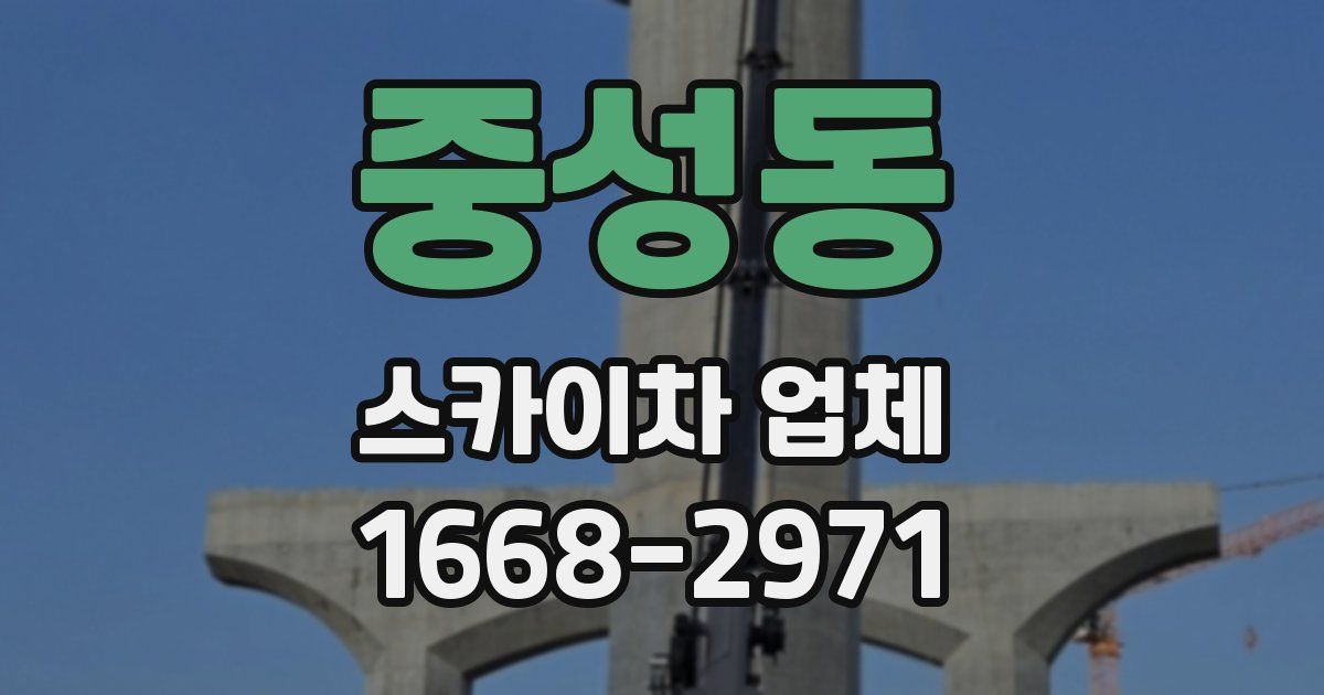중성동 스카이차 업체
