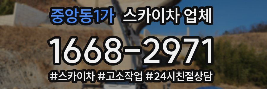중앙동1가 스카이차 업체