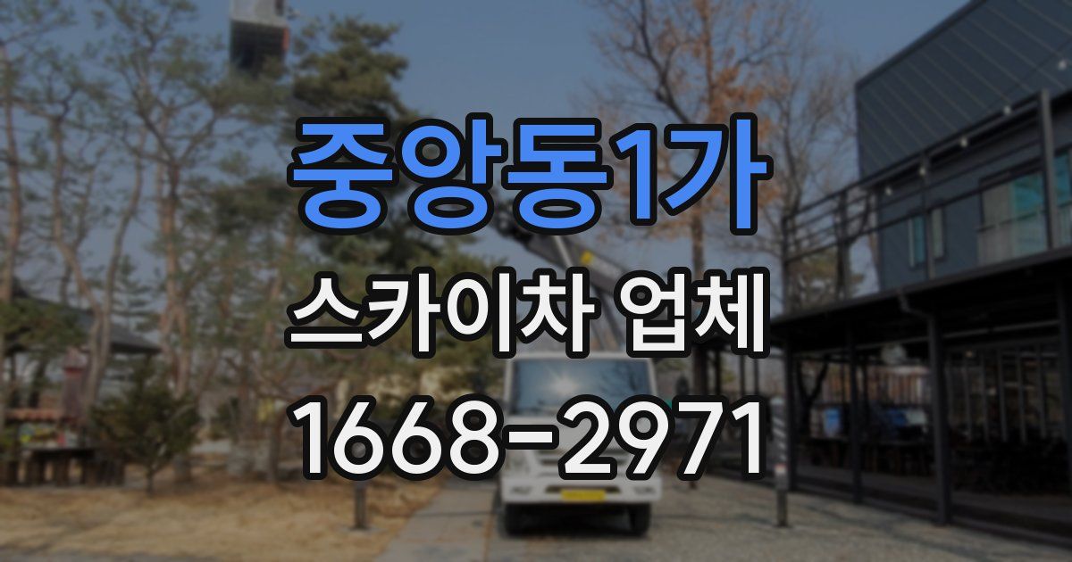 중앙동1가 스카이차 업체