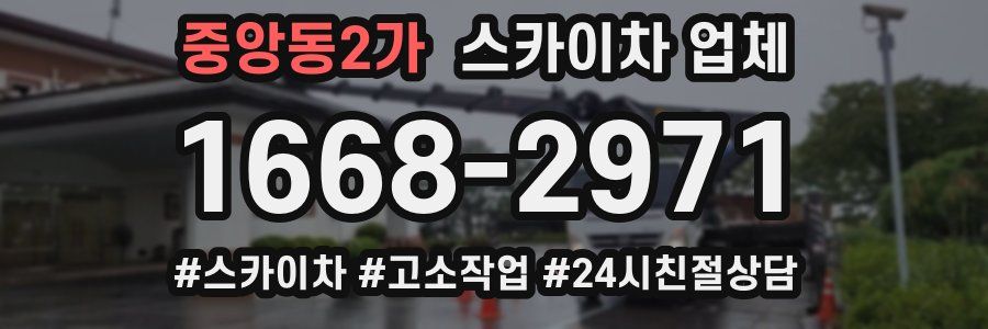 중앙동2가 스카이차 업체