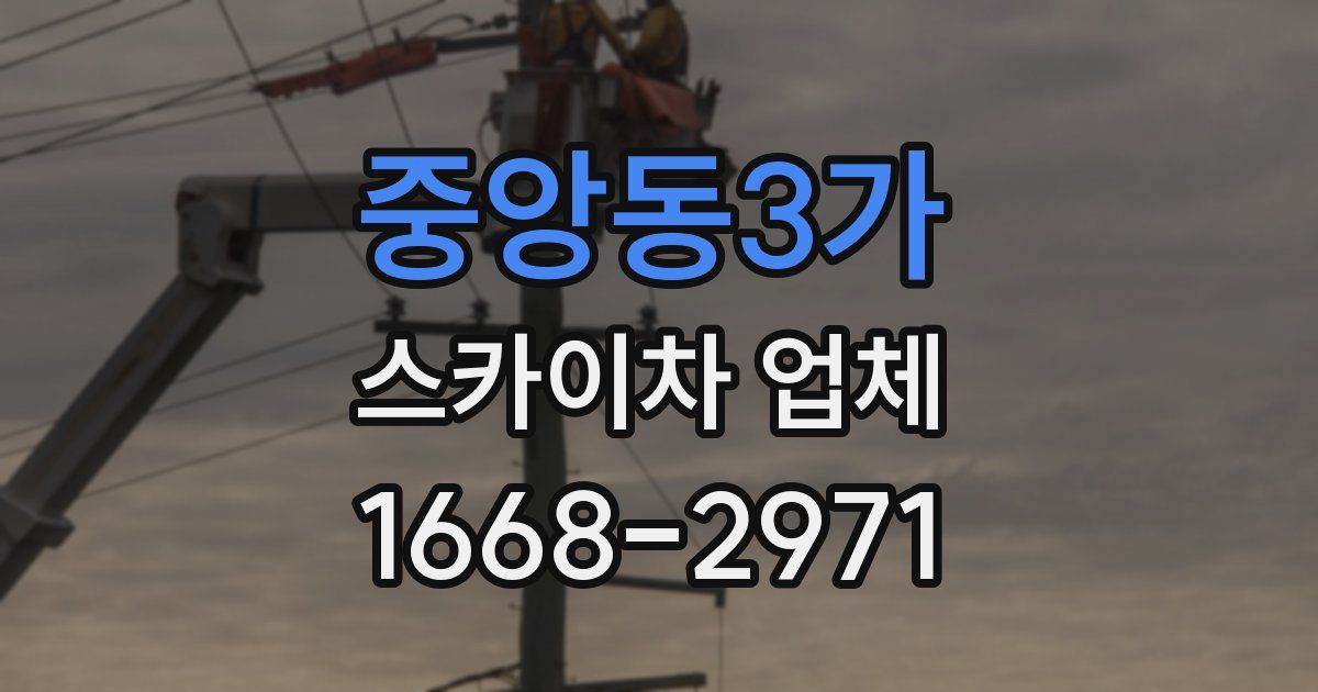 중앙동3가 스카이차 업체