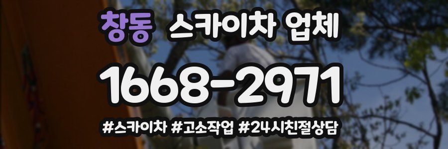 창동 스카이차 업체