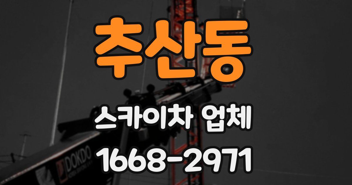 추산동 스카이차 업체