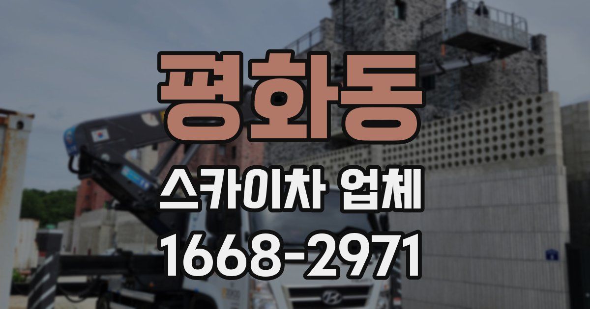 평화동 스카이차 업체