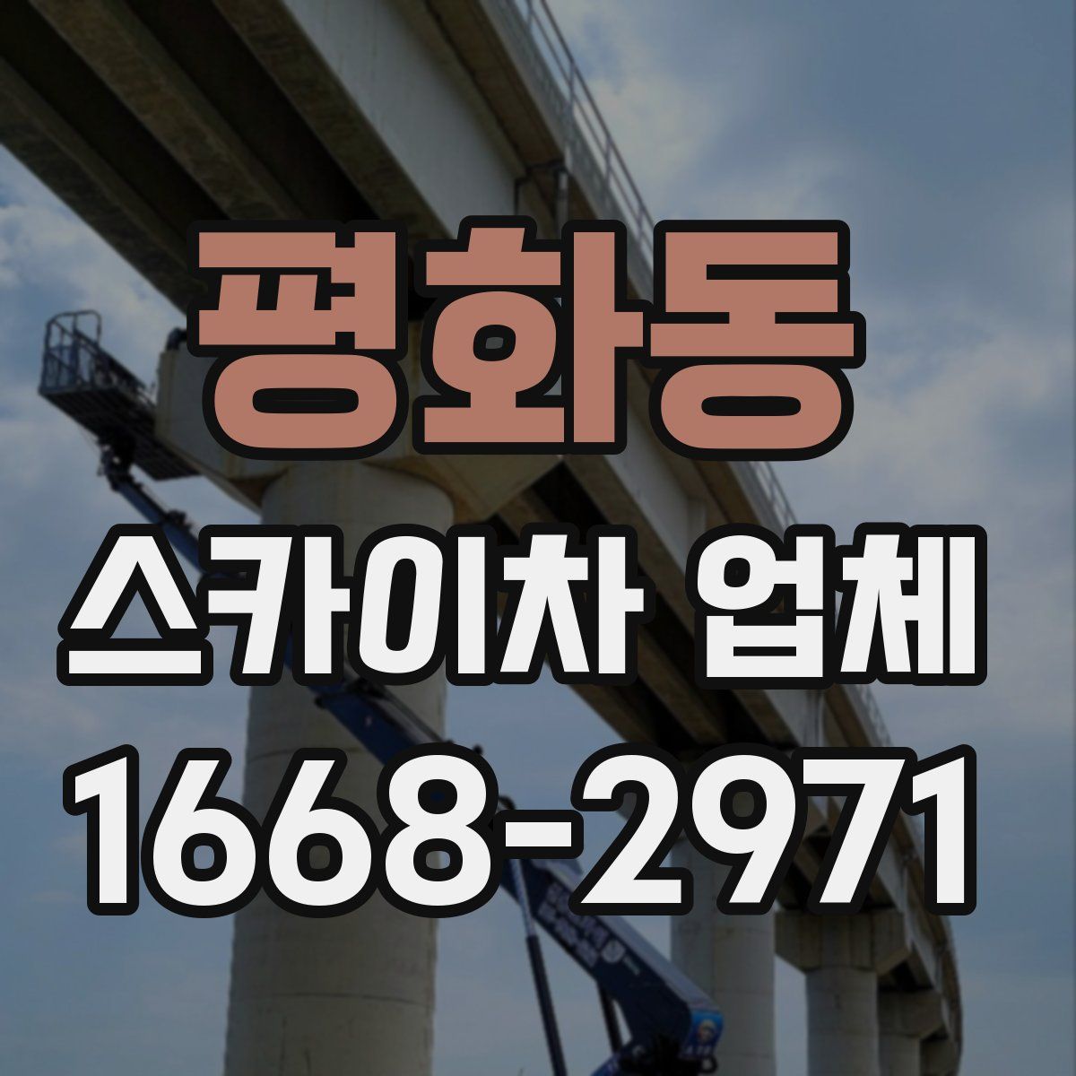평화동 스카이차 업체